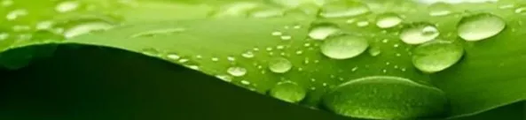 Scholze Haustechnik GmbH