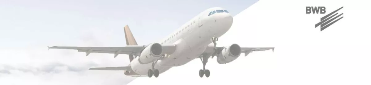  Nehlsen-BWB Flugzeug-Galvanik Dresden GmbH & Co. KG